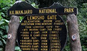 Lemosho Route 7 Days Climb – Kilimanjaro trekking with Karibu Adventure