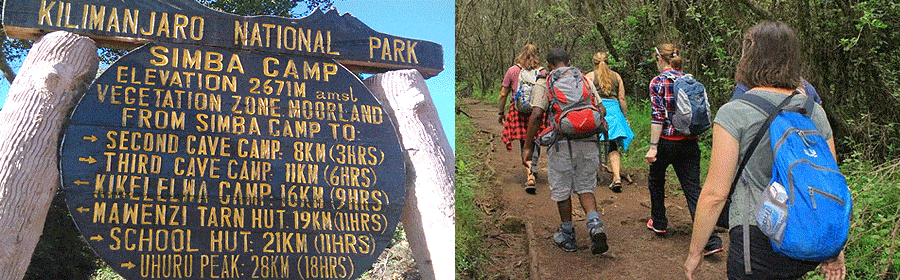 Rongai Route 6 Days Kilimanjaro Itinerary – Summit at Uhuru Peak with panoramic views